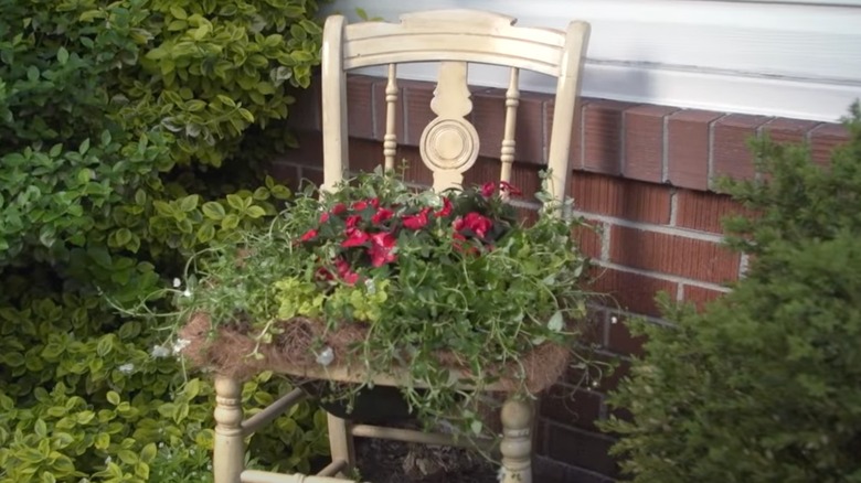 Cream colored wood chair with plant potted in the seat