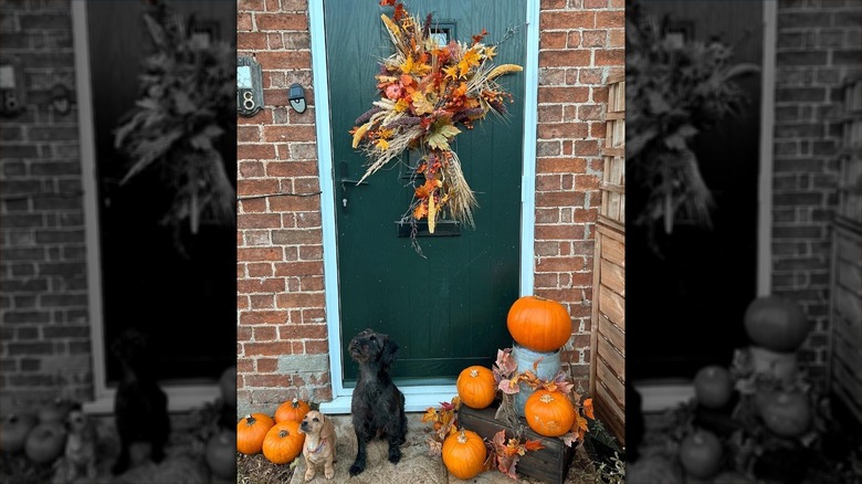 Green door with fall décor and dogs