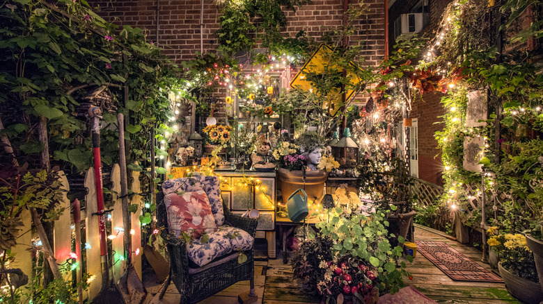 backyard decorated with string lights