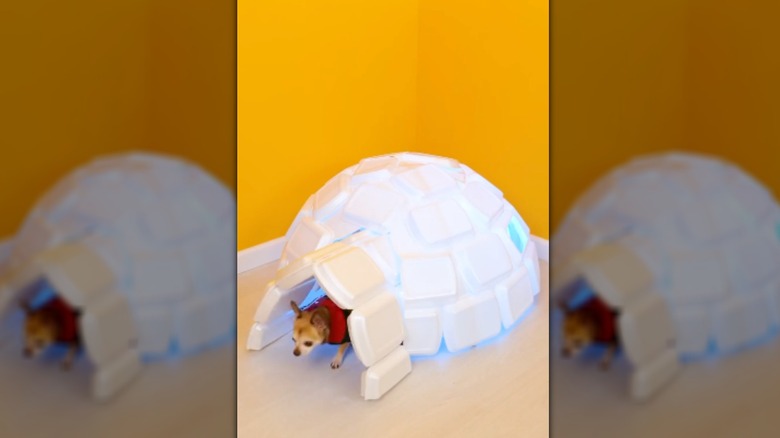 glueing plastic to pet house