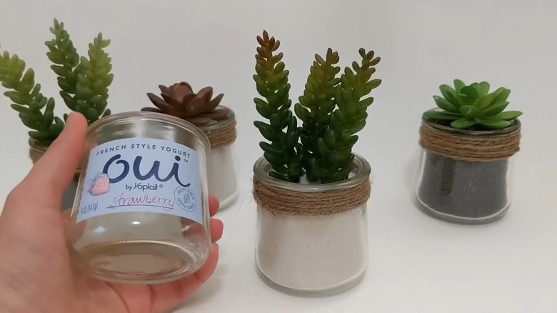 four succulents in glass yogurt jars