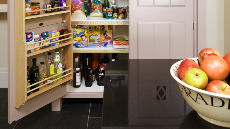 Closet with door ajar showing pantry and food storage