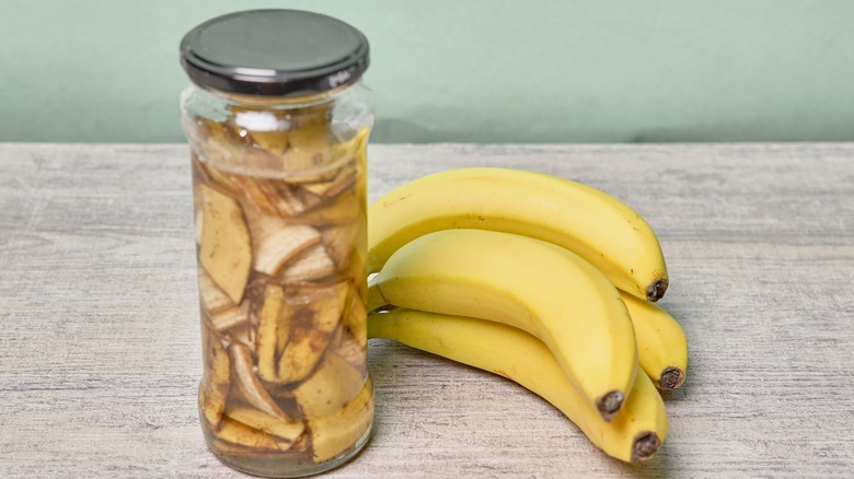 Banana peels in water