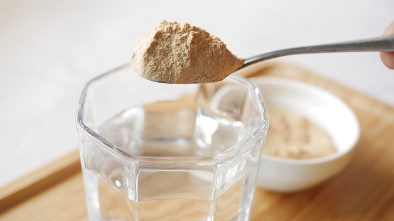 Dry yeast in a spoon