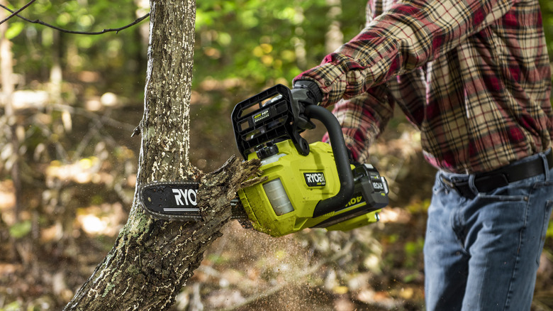 Man using chainsaw on tree limb