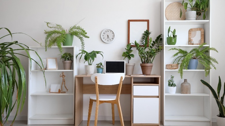 multiple plants desk space