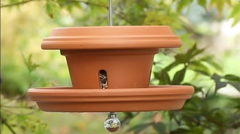 Hanging terracotta pot bird feeder with saucer base and cover