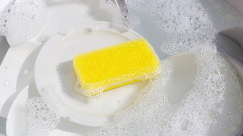 Sponge on soapy dishes