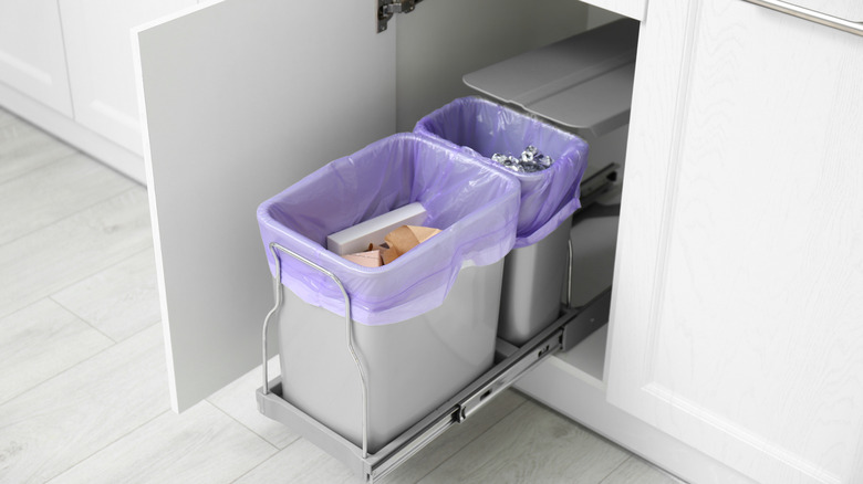 Roll-out kitchen trash cans