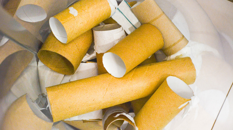 A pile of empty toilet paper rolls of assorted lengths.