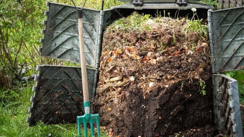 Top view of compost pile in container