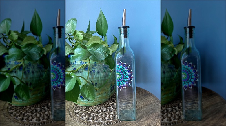 olive oil bottle and plant