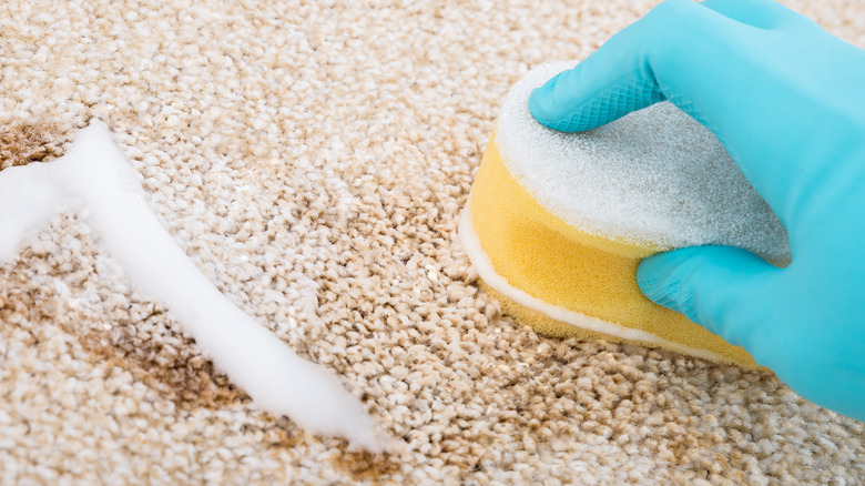 Person scrubbing stains from carpet