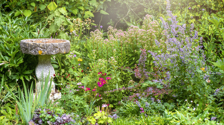 birdbath in garden