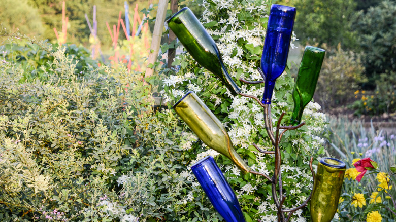 bottle tree in garden