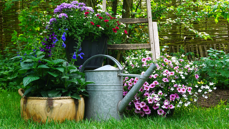 watering can and flower pots