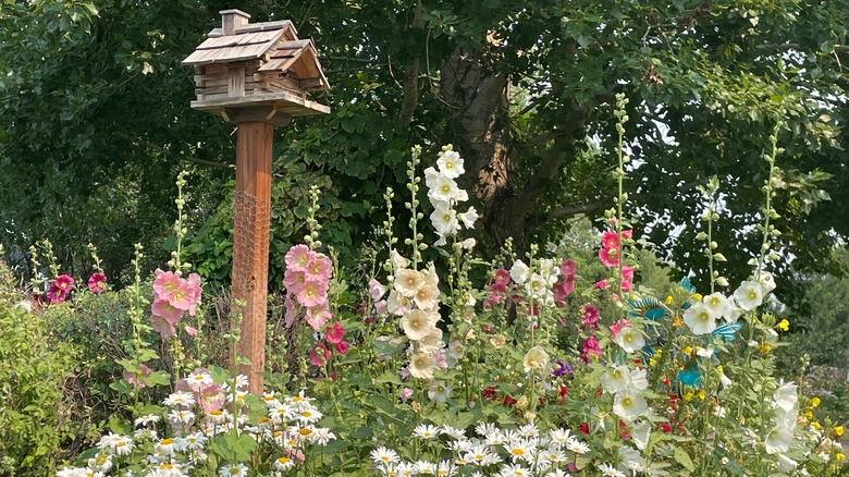 birdhouse on post in garden