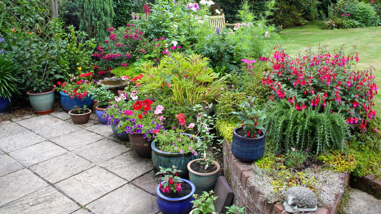 containers of flowers near flower bed