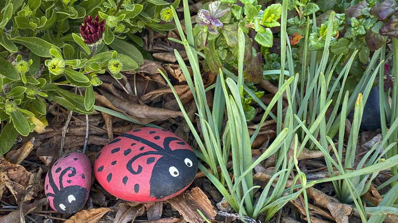 stones painted to look like lady bugs