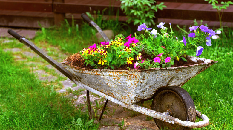 vintage wheelbarrow planter