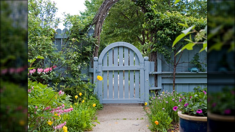 Pretty blue arched fence gate surrounded by flowers and plants