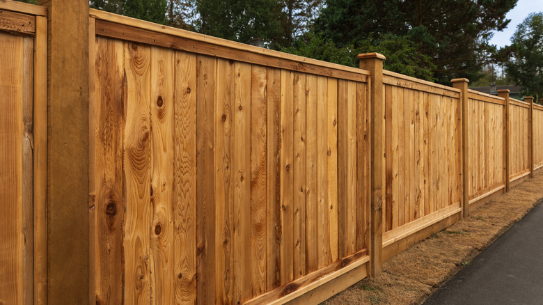 A wooden backyard fence