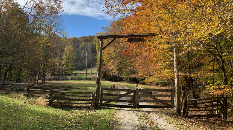 Ranch gate blocking a driveway amidst beautiful fall foliage