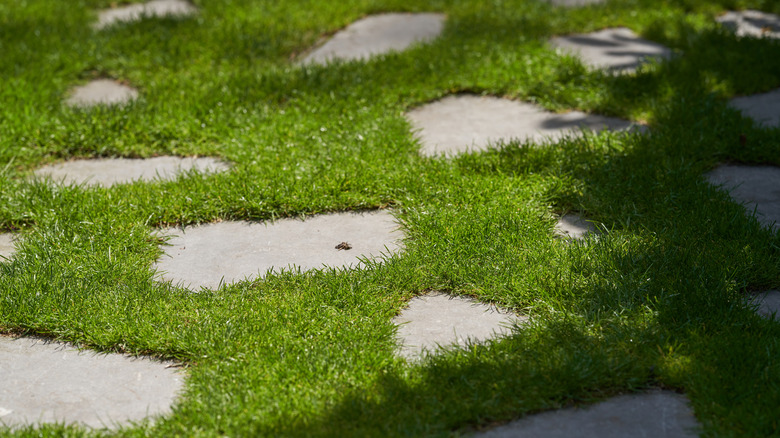 paver stepping stones 