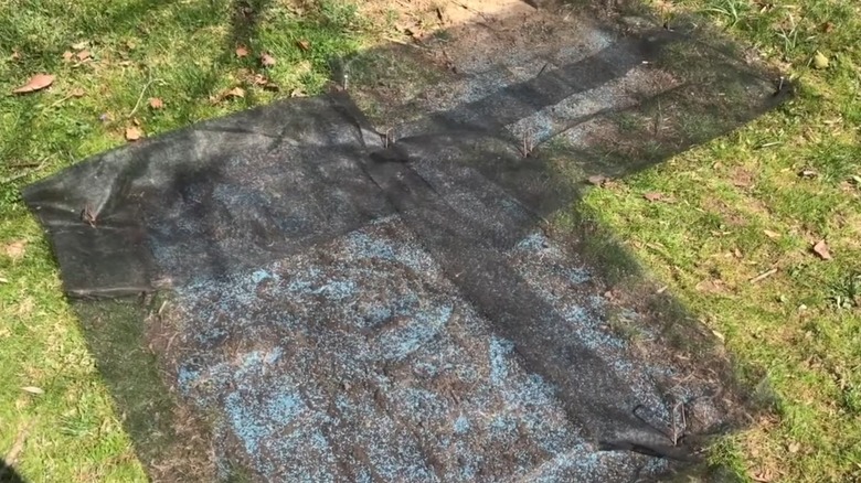 Screen material covering grass seeds