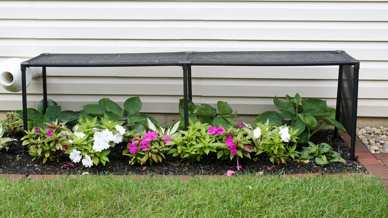 Garden bed shaded by screen table