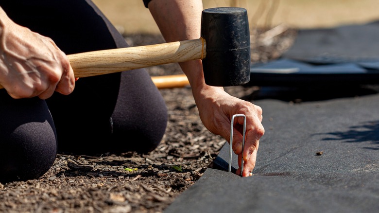 Person staking weed barrier into soil