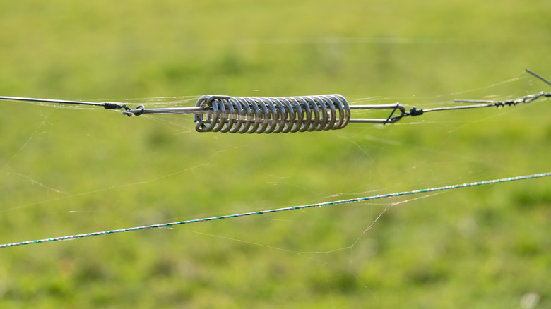 A trampoline spring is used to temporarily put a wire fence under tension.