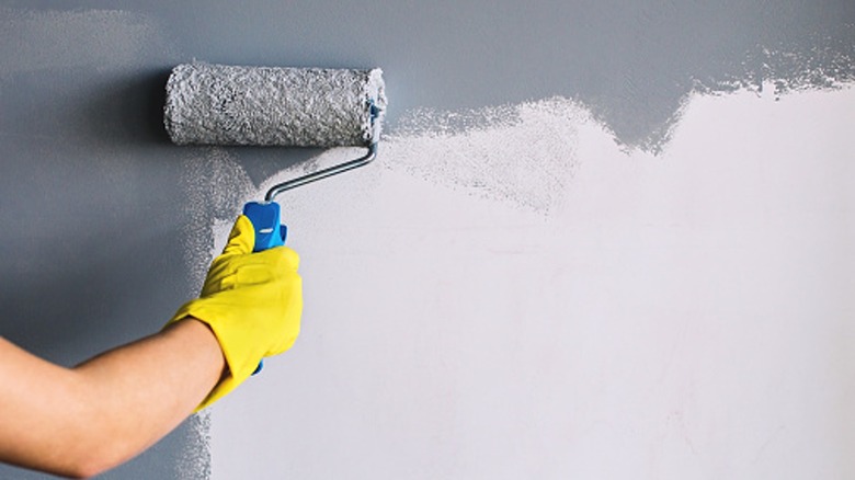 roller with gray wall paint