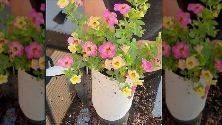 DIY planter with flowers inside