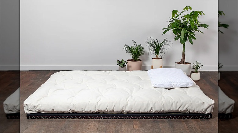 Tatami mat and mattress in a room with potted plants