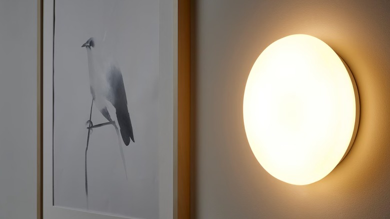 IKEA cordless round wall light next to bird picture