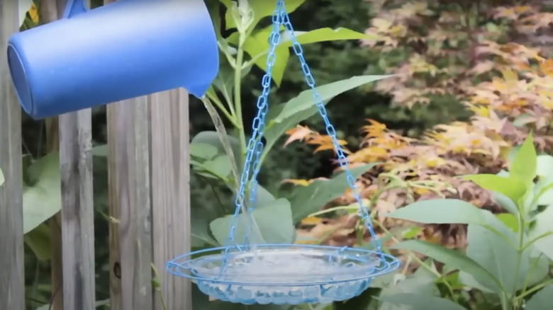 Pouring water into hanging birdbath