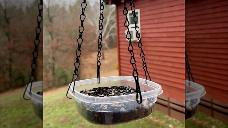 Black sunflower seeds in birdfeeder