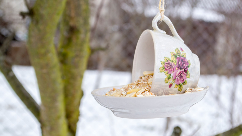 Cup and saucer bird feeder