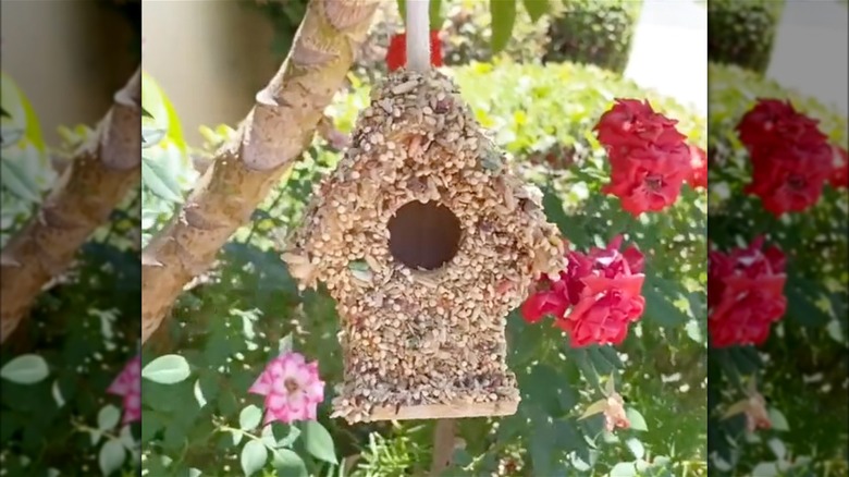 Seed covered birdhouse