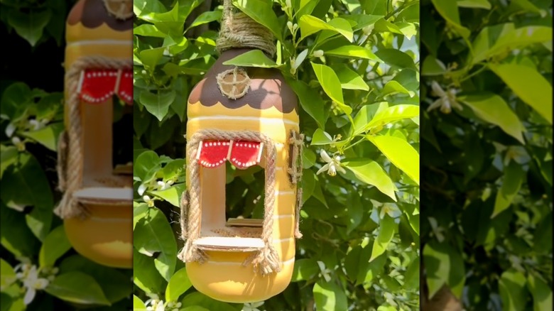 Soda bottle bird feeder