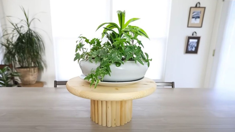 A natural wood pedestal topped with a short, round plant pot with mixed green foliage.