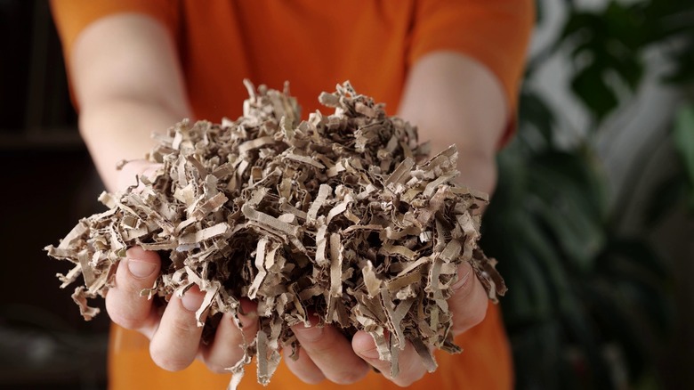 shredded cardboard mulch