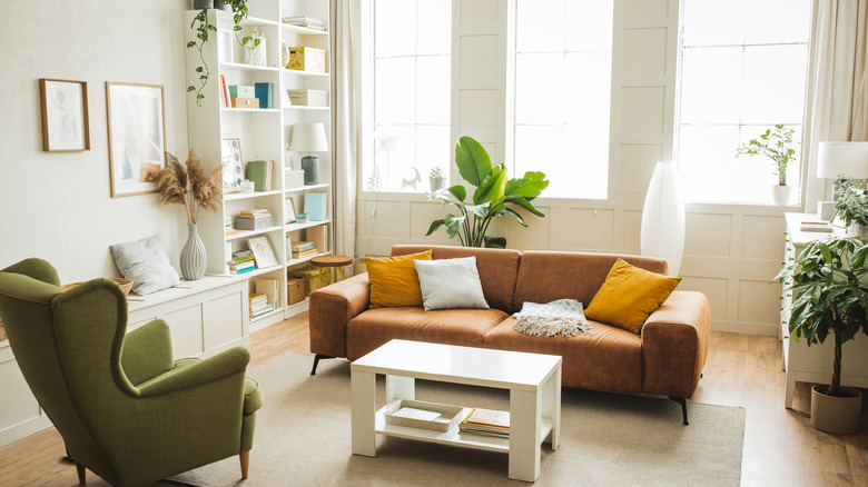 Living room with houseplants and windows allowing natural light