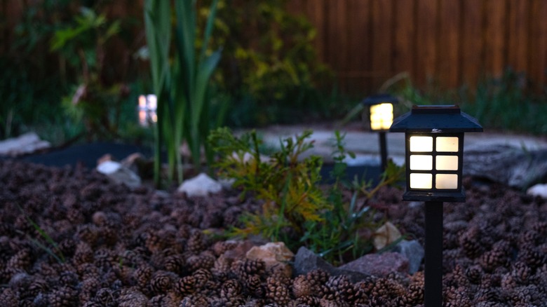 Solar-powered lanterns in a garden bed