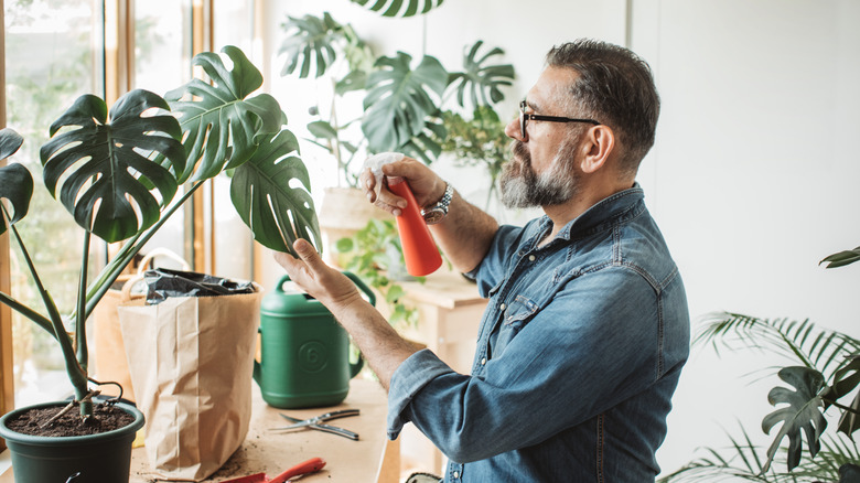 man watering plants