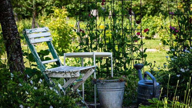 Shady nook in a garden with a wire trellis.