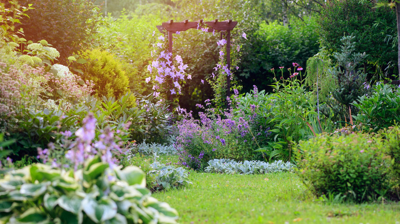 Colorful cottage garden with arbor.