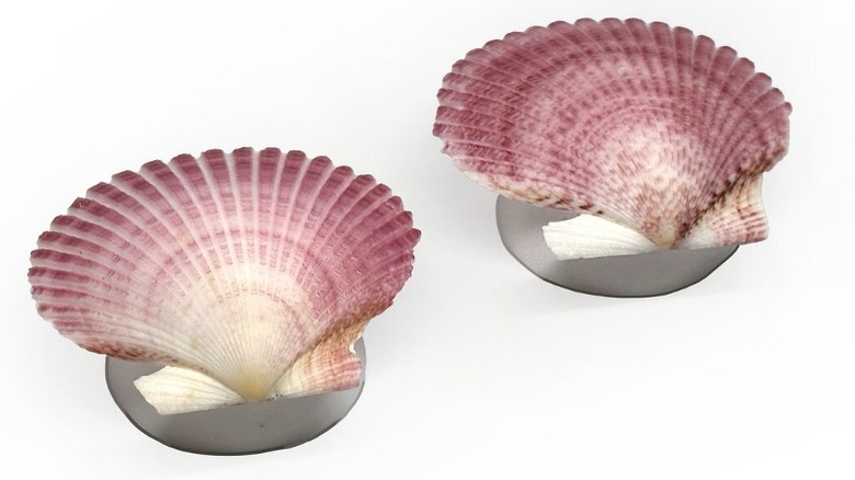 Purple pectin seashells 