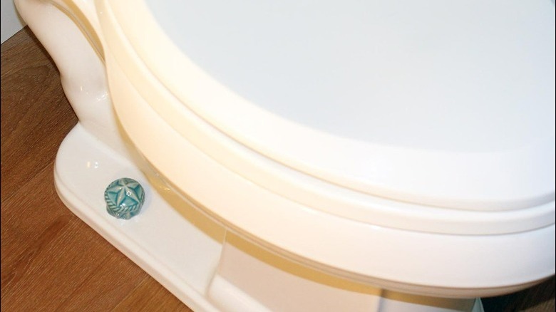 Teal starfish toilet bolt covers